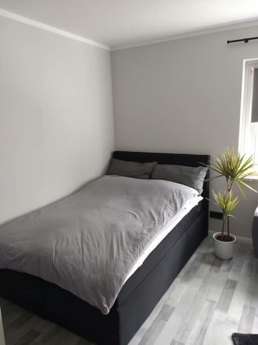 Apartment In ברמרהבן מראה חיצוני תמונה